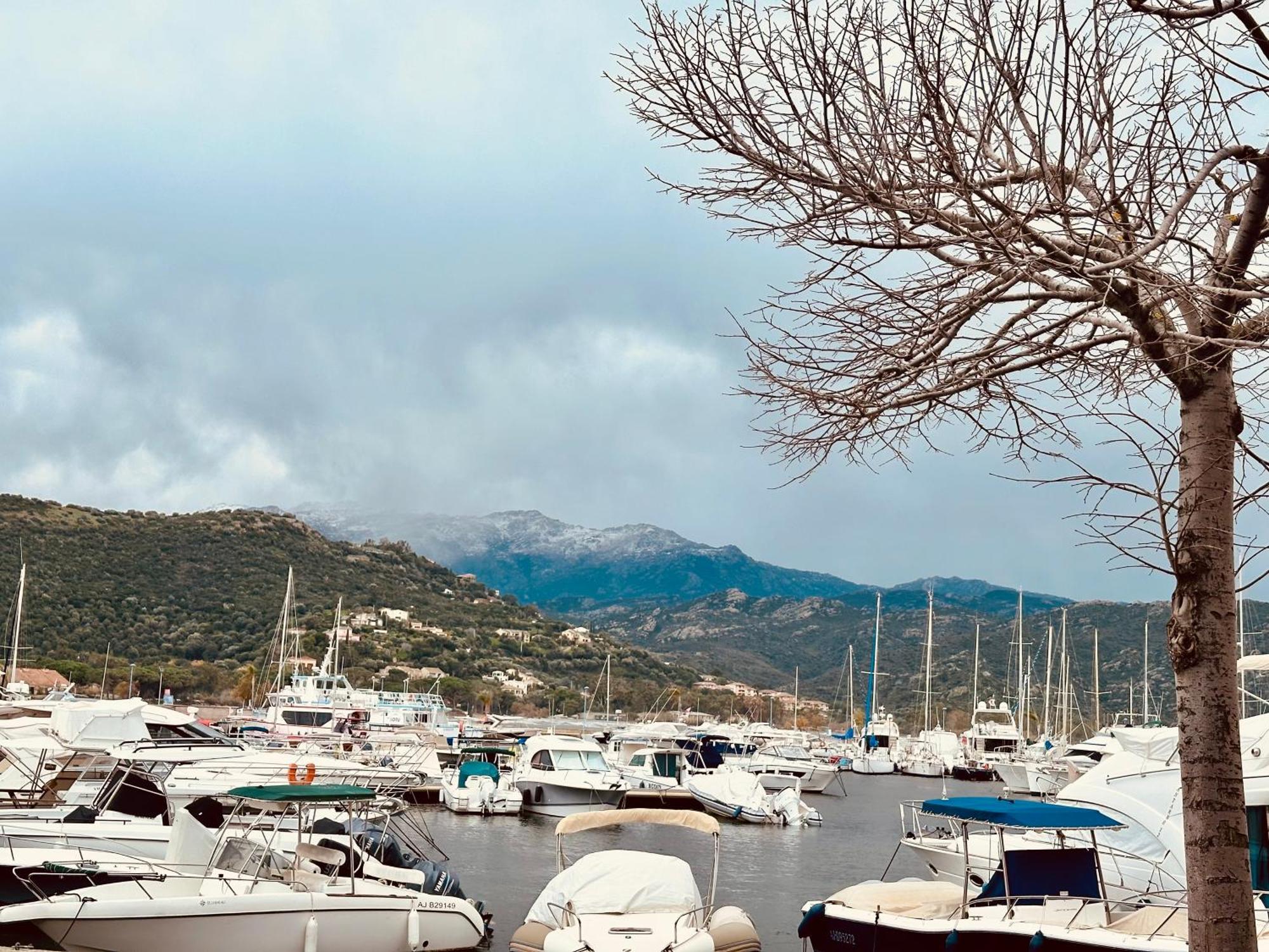 Hotel Restaurant L'Europe Saint-Florent  Εξωτερικό φωτογραφία